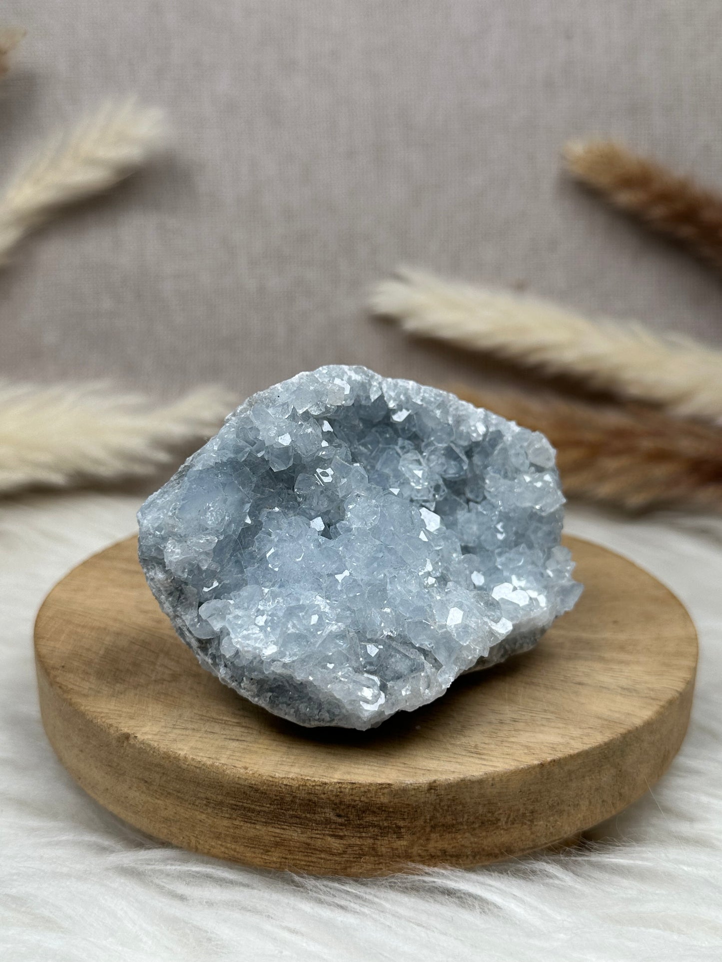 Coelestin Cluster (3)