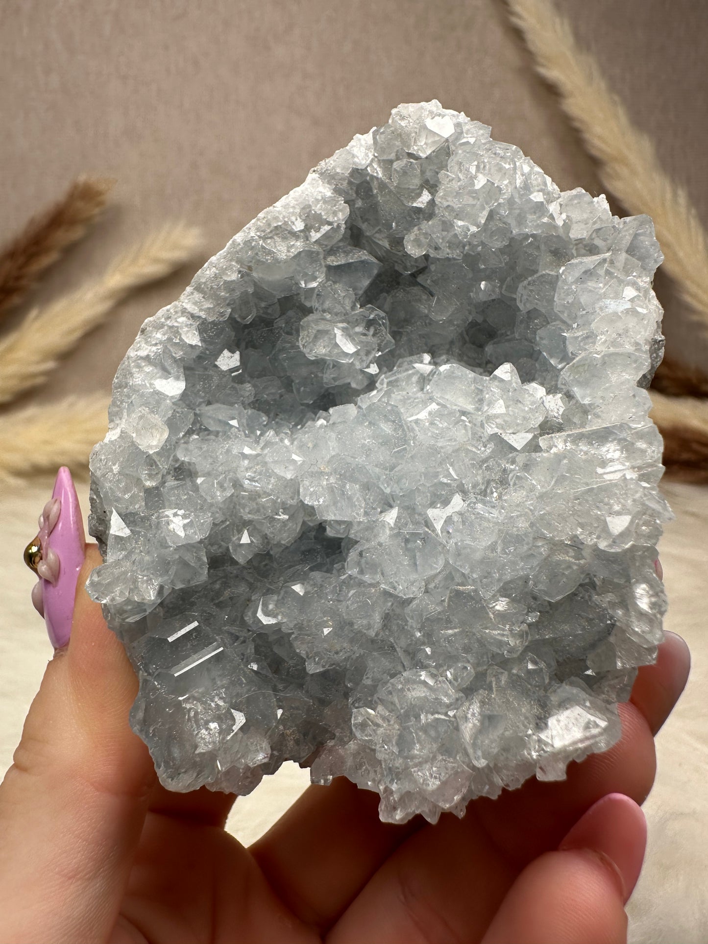 Coelestin Cluster (3)