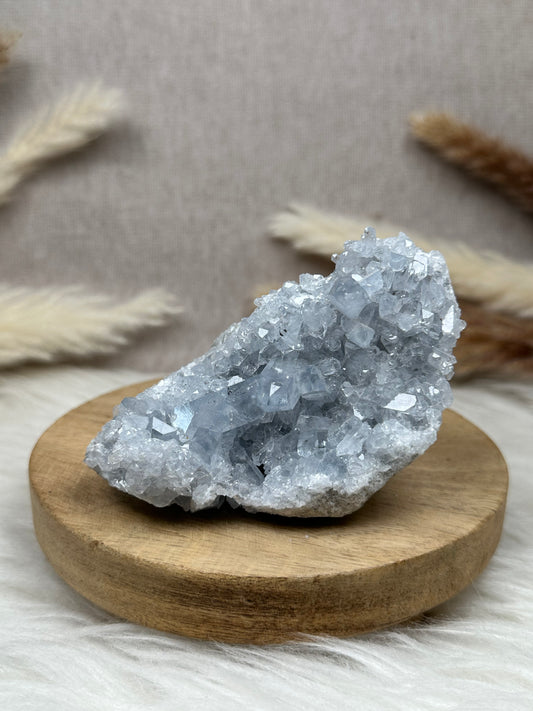 Coelestin Cluster (4)