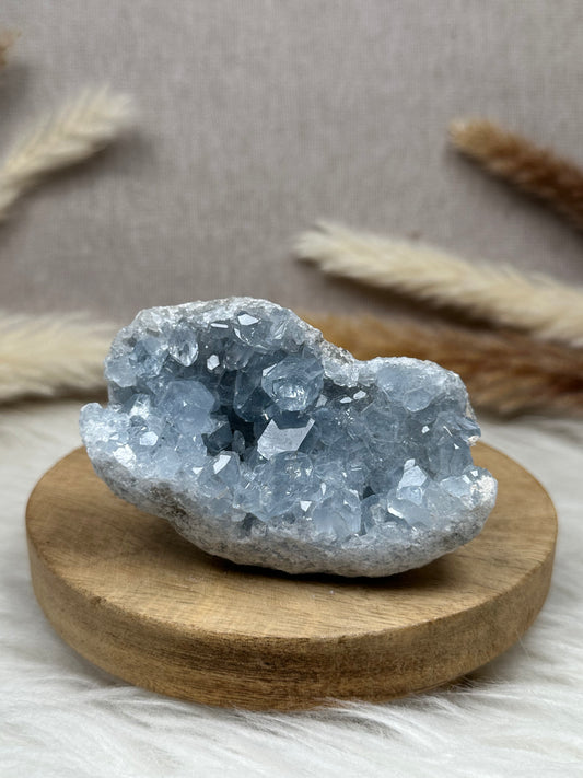Coelestin Cluster (5)