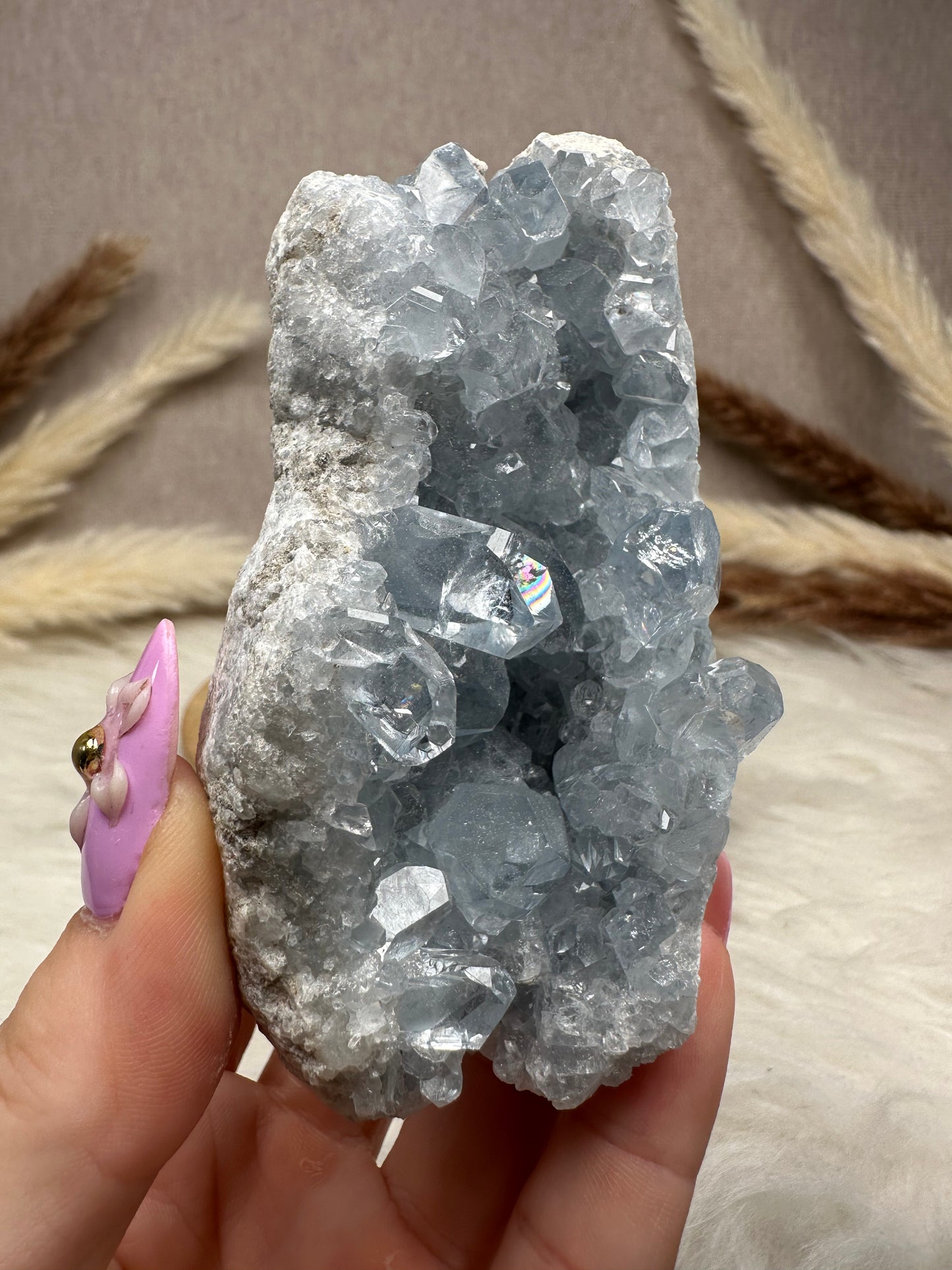 Coelestin Cluster (5)