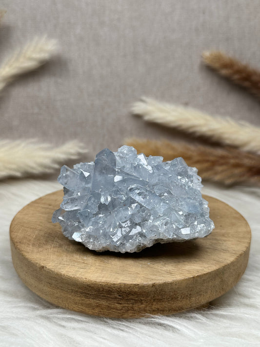 Coelestin Cluster (6)