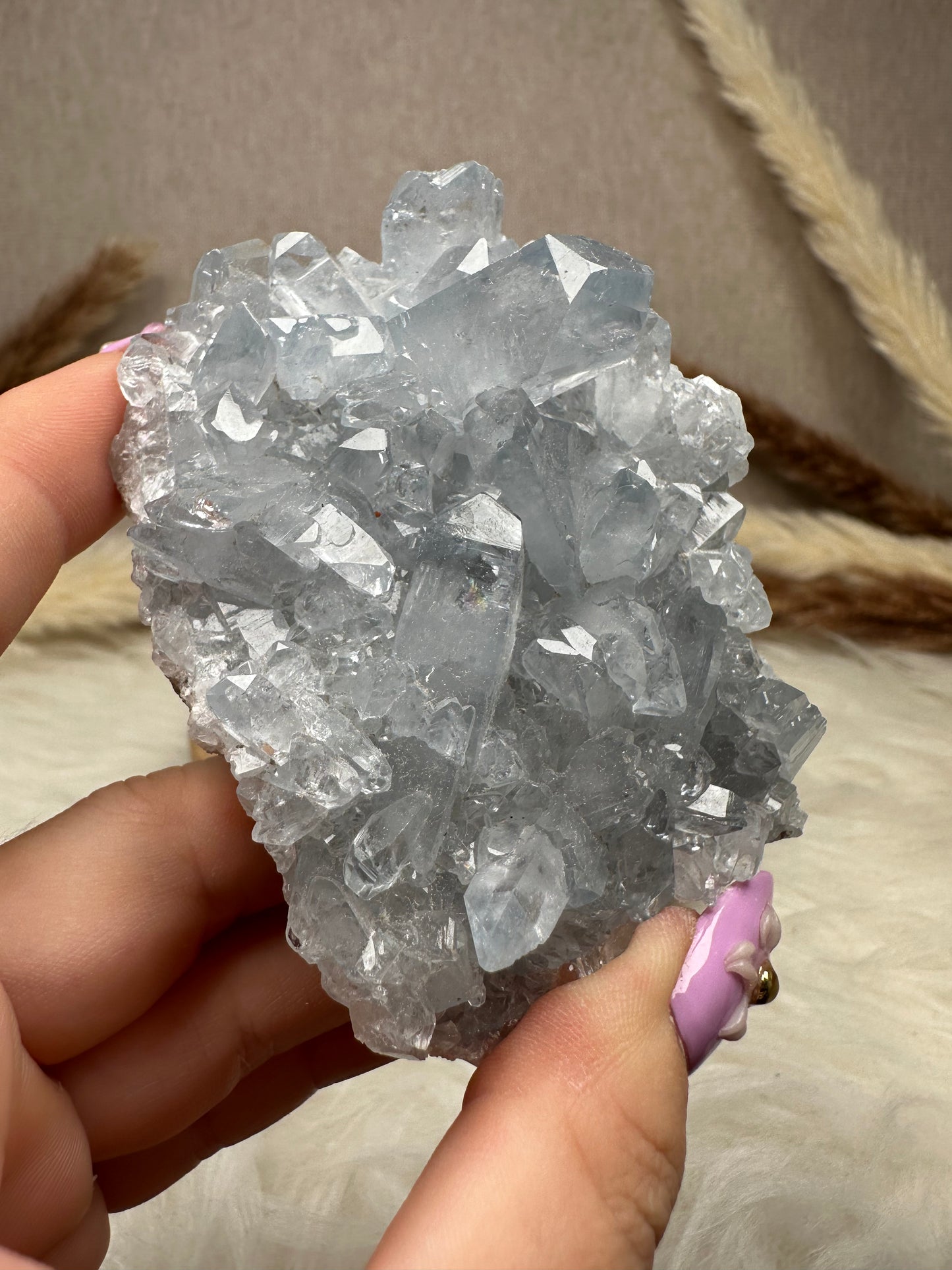 Coelestin Cluster (6)