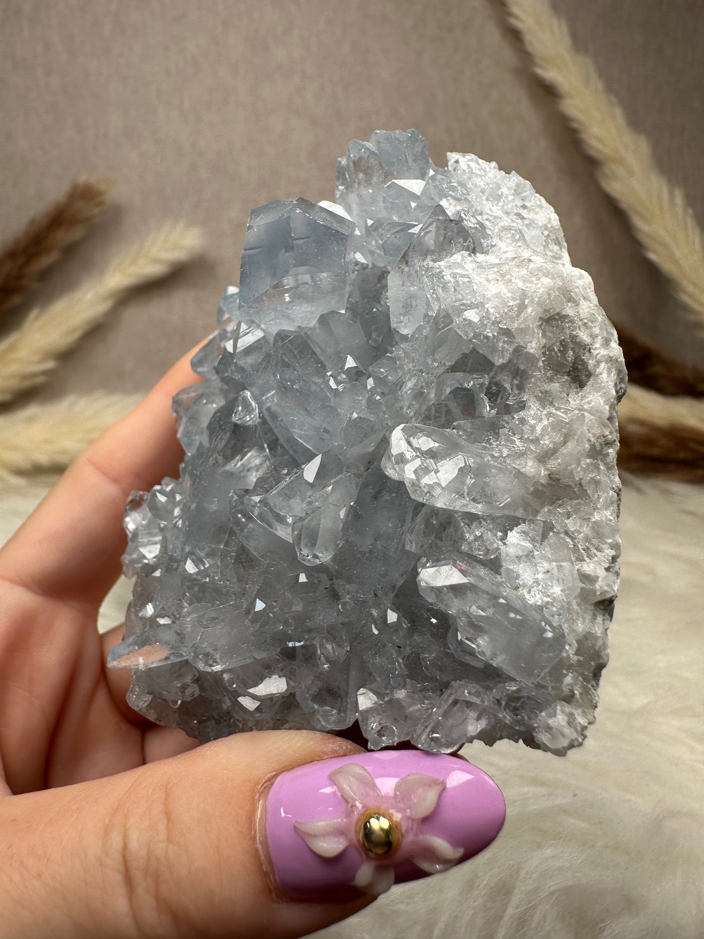 Coelestin Cluster (6)