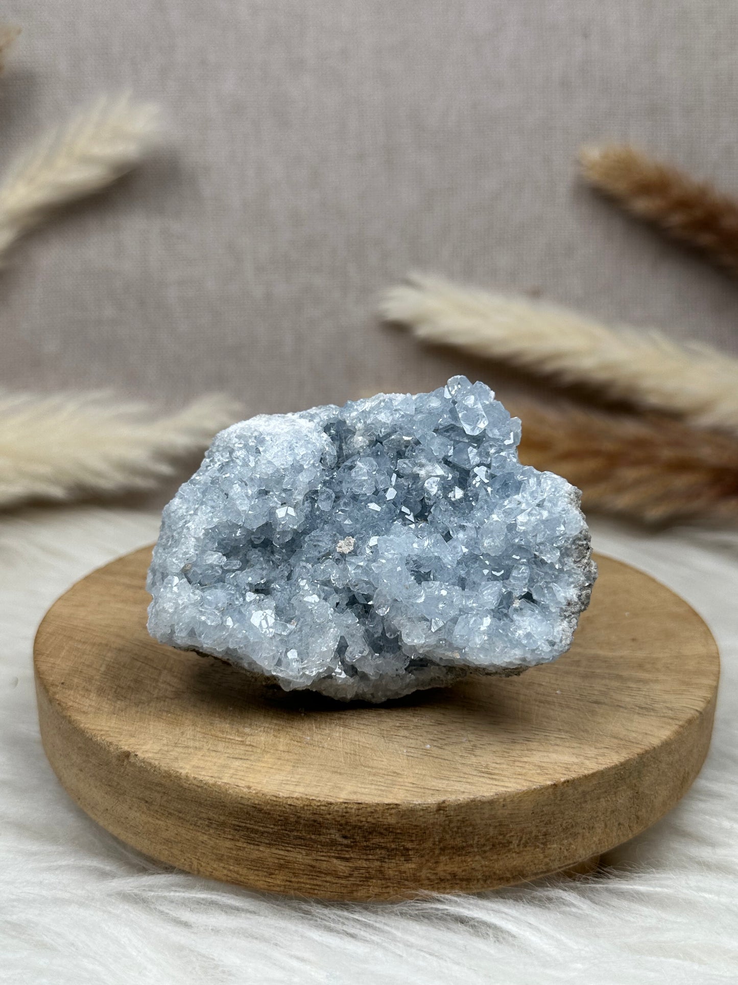 Coelestin Cluster (7)