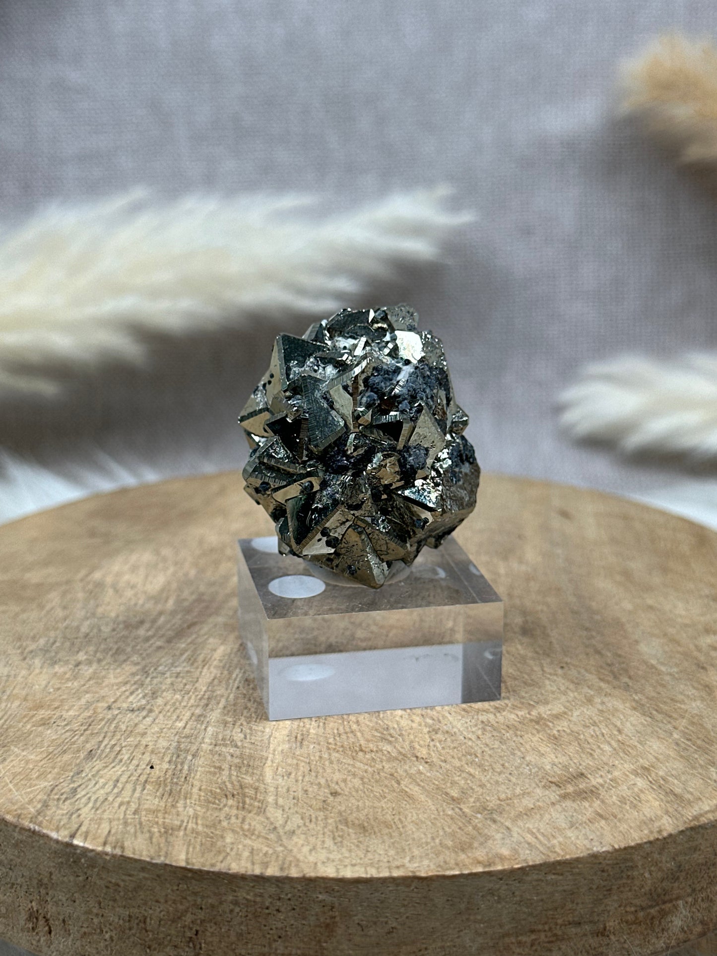 Oktaedrischer Pyrit (1) auf Sockel