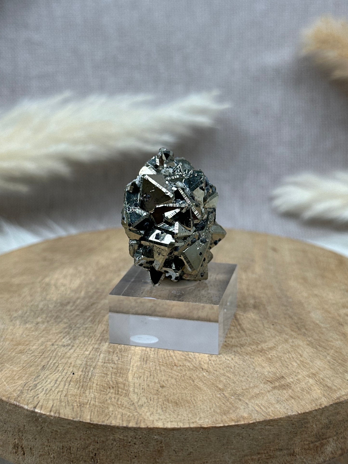 Oktaedrischer Pyrit (1) auf Sockel
