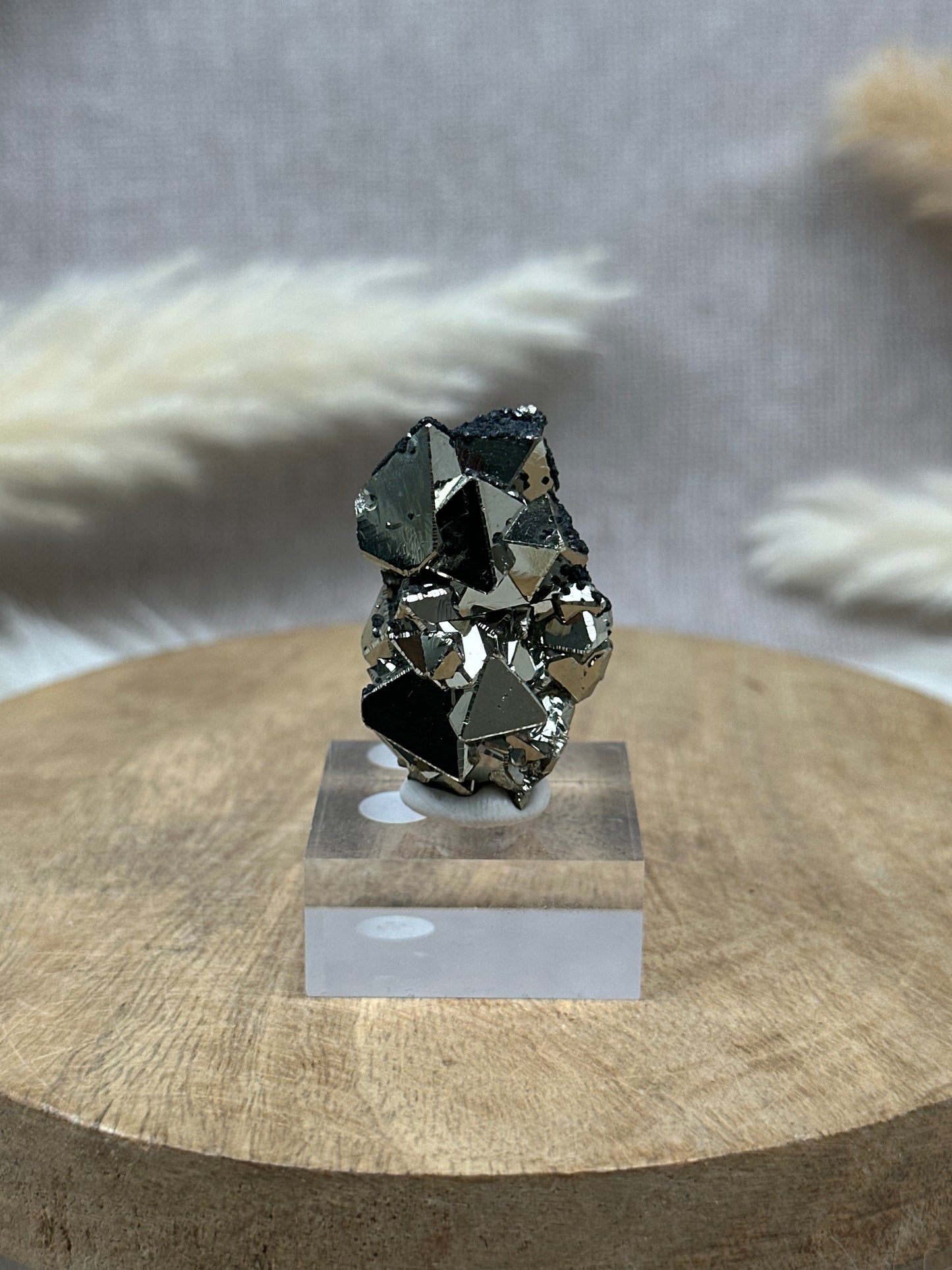 Oktaedrischer Pyrit (3) auf Sockel