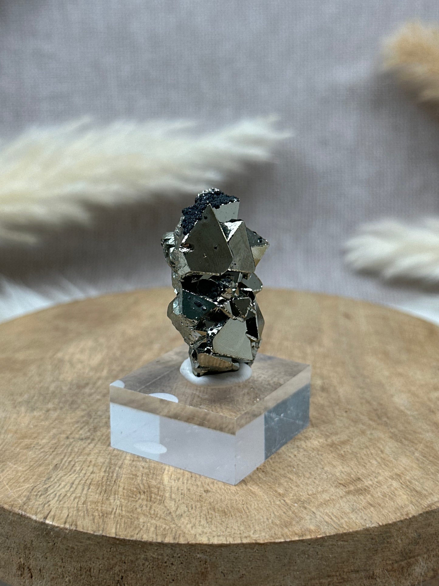 Oktaedrischer Pyrit (3) auf Sockel