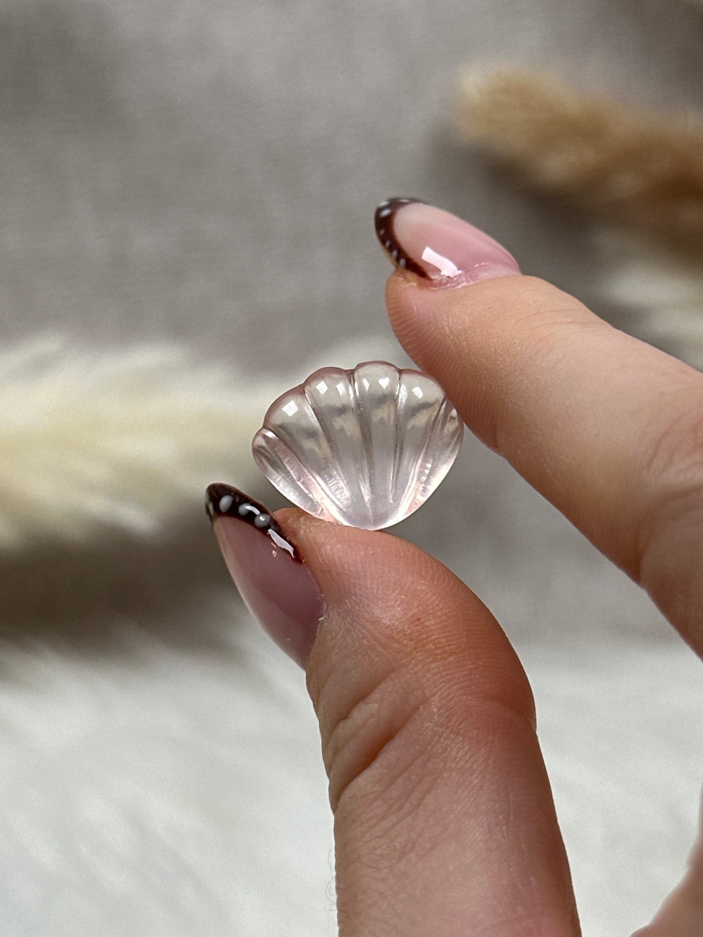 Mini Rosenquarz Muscheln