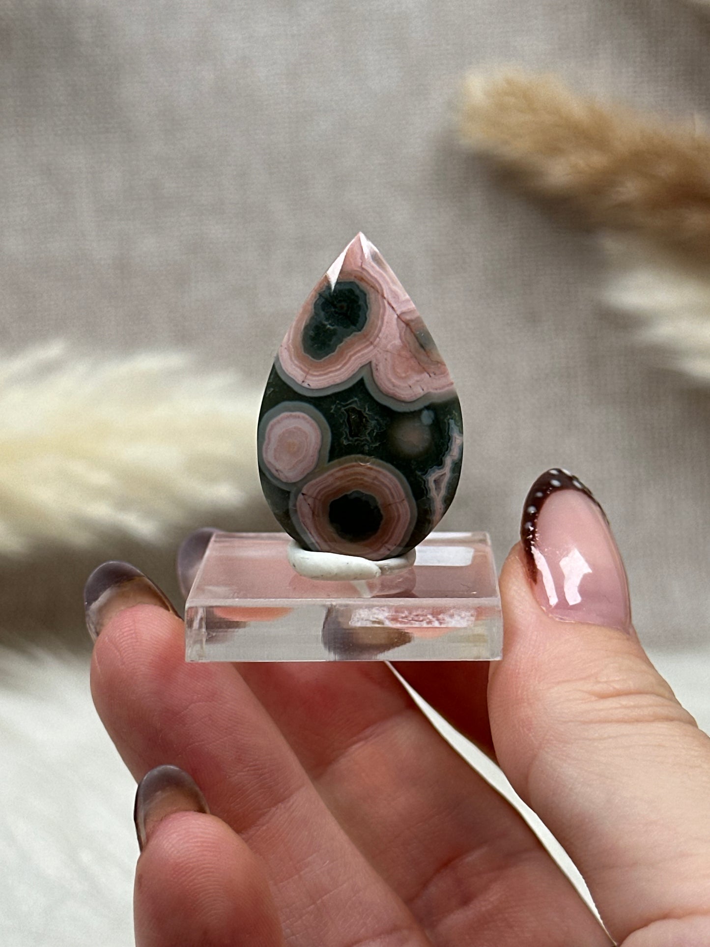 Ozean Jaspis Cabochon (1)