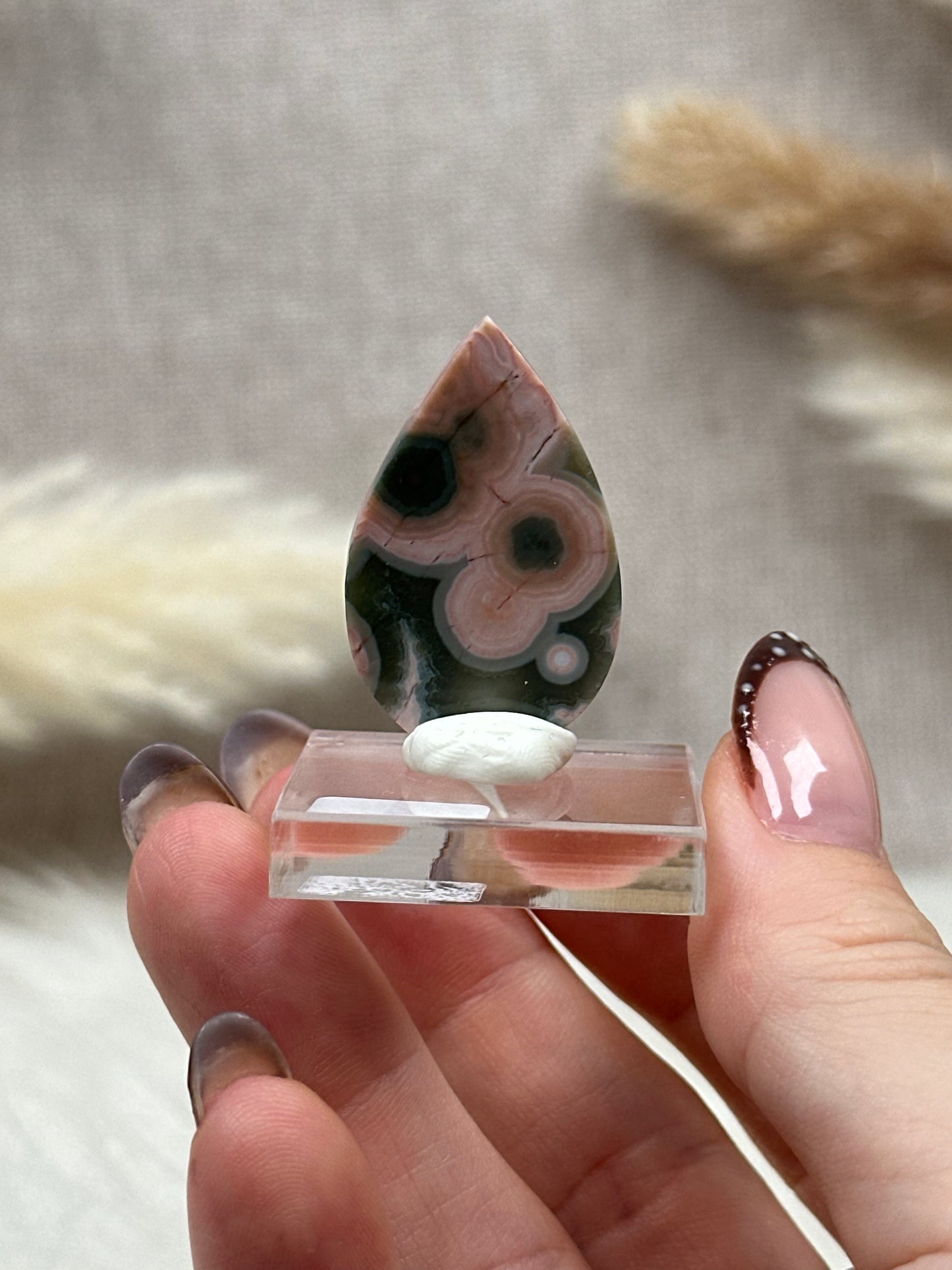 Ozean Jaspis Cabochon (1)
