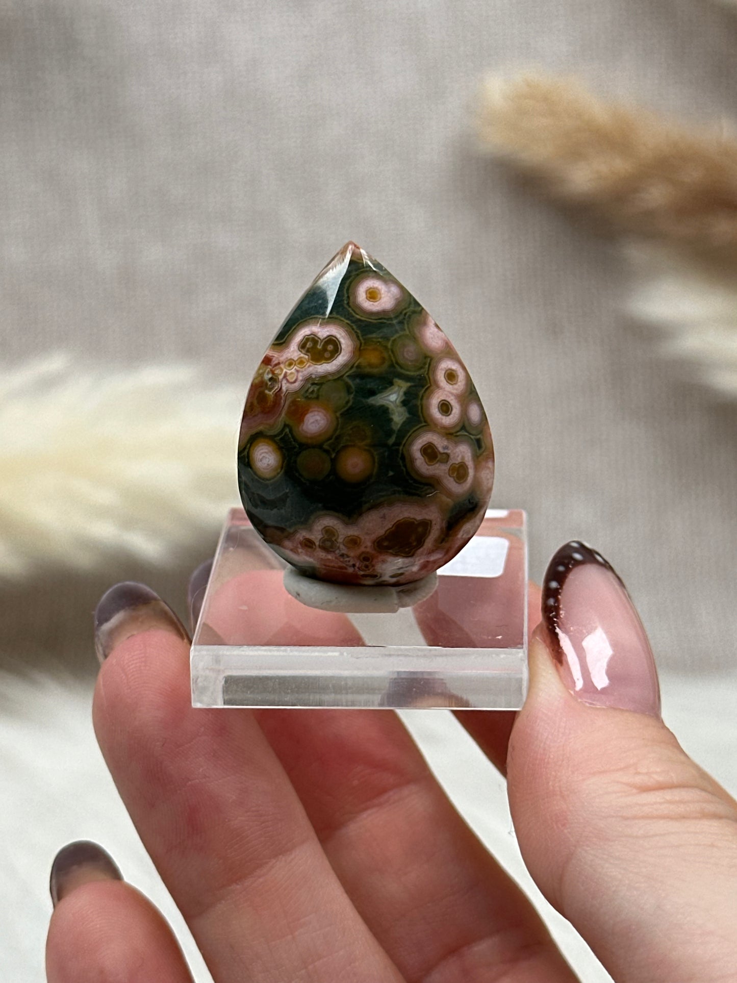 Ozean Jaspis Cabochon (2)