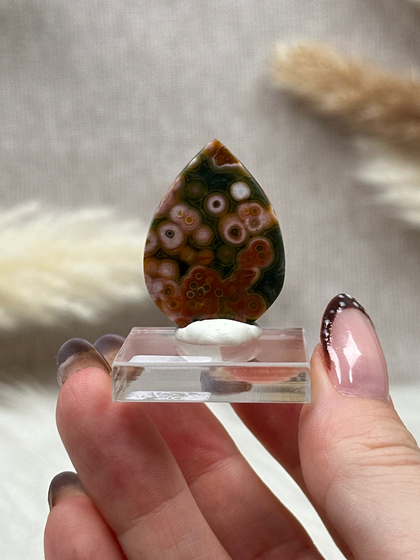 Ozean Jaspis Cabochon (2)