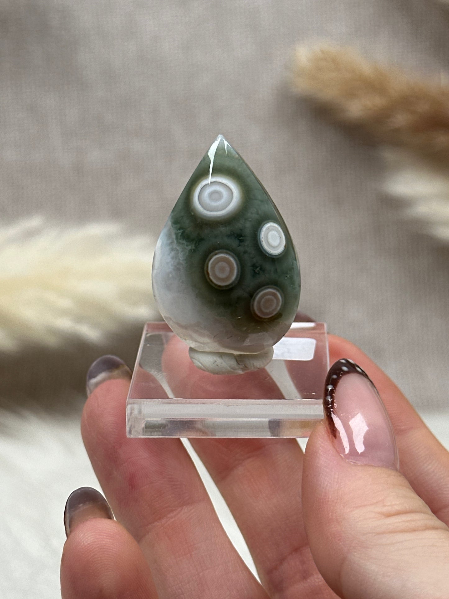 Ozean Jaspis Cabochon (3)