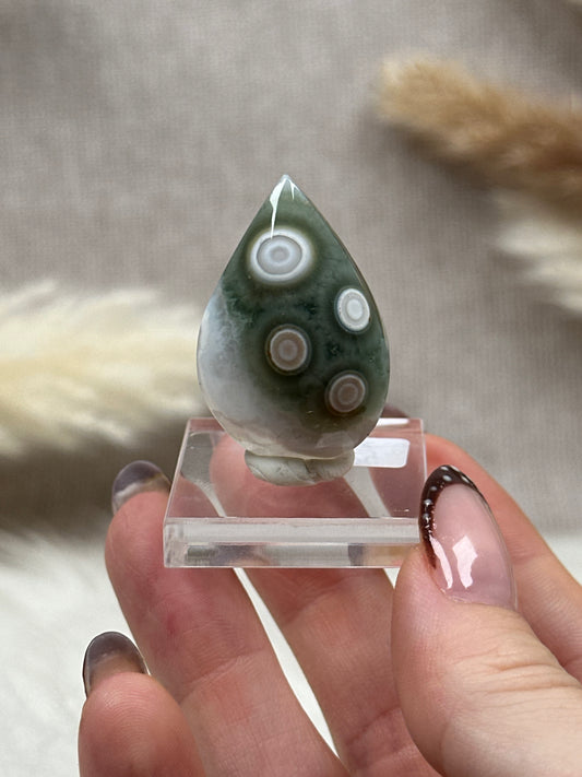 Ozean Jaspis Cabochon (3)