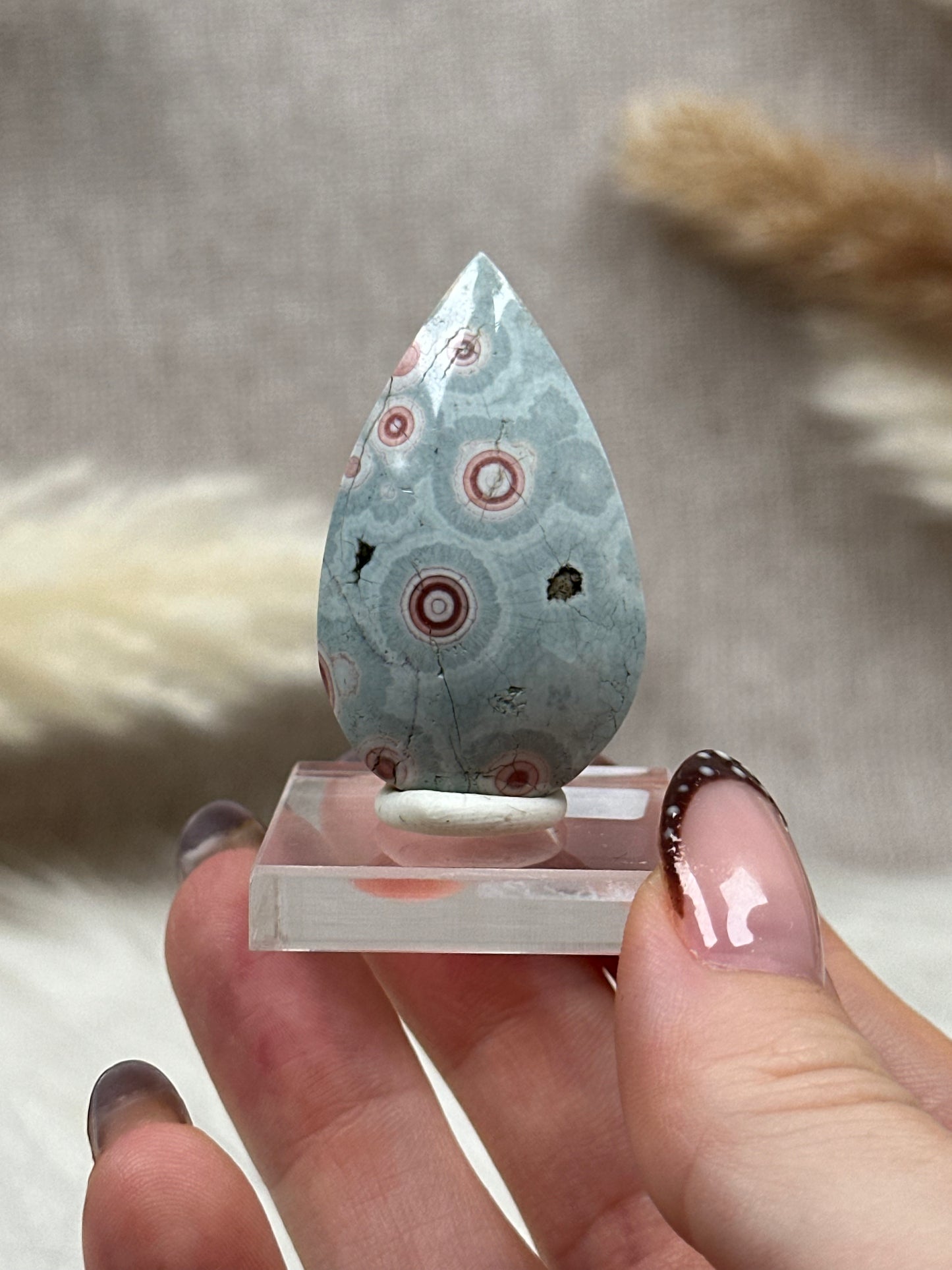 Ozean Jaspis Cabochon (4)