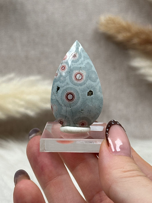 Ozean Jaspis Cabochon (4)