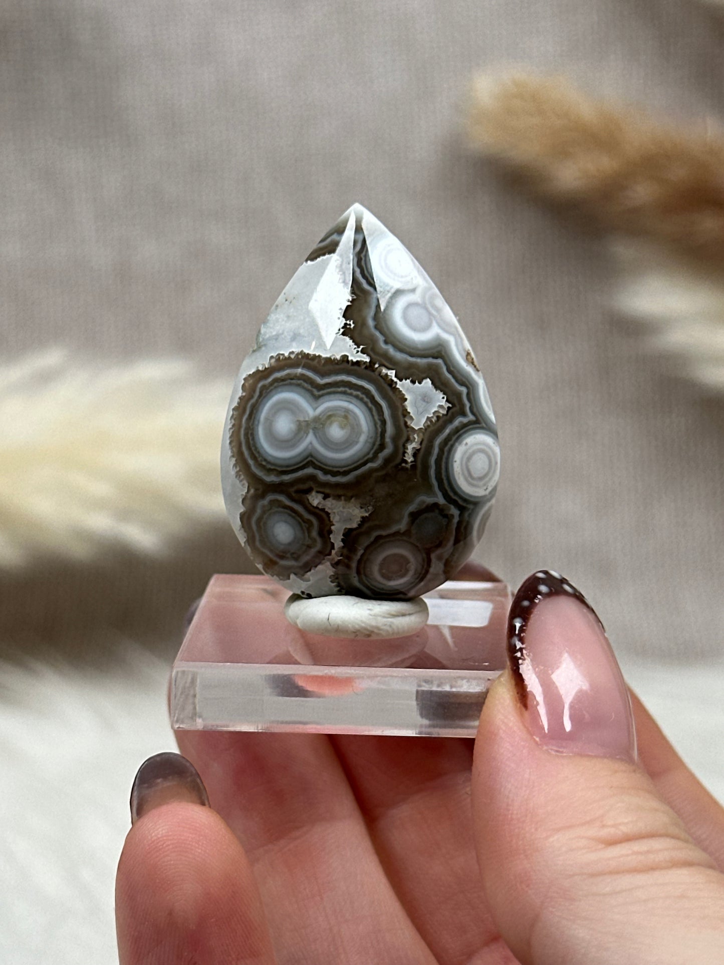 Ozean Jaspis Cabochon (5)