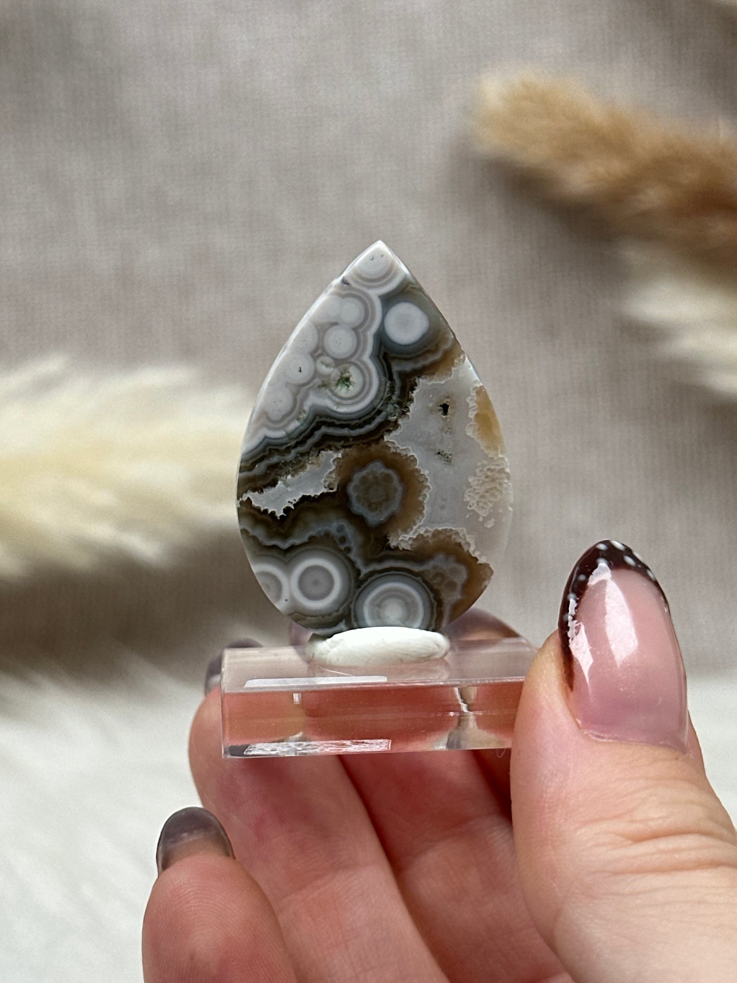 Ozean Jaspis Cabochon (5)