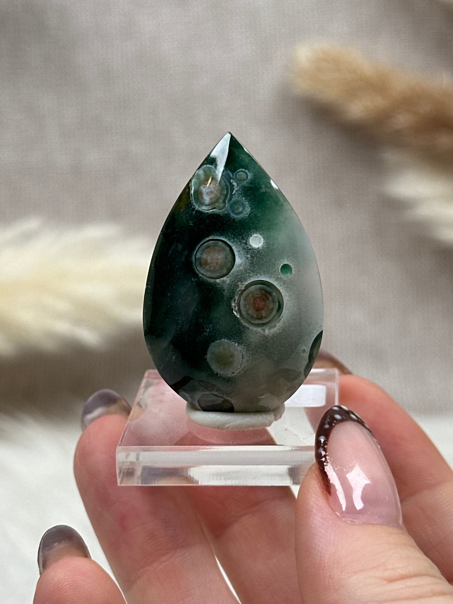 Ozean Jaspis Cabochon (6)