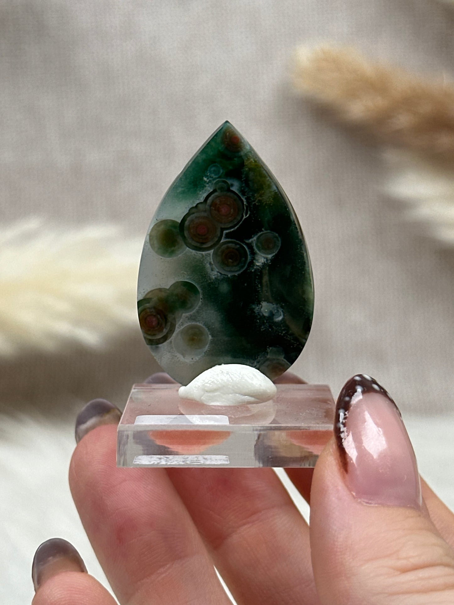 Ozean Jaspis Cabochon (6)