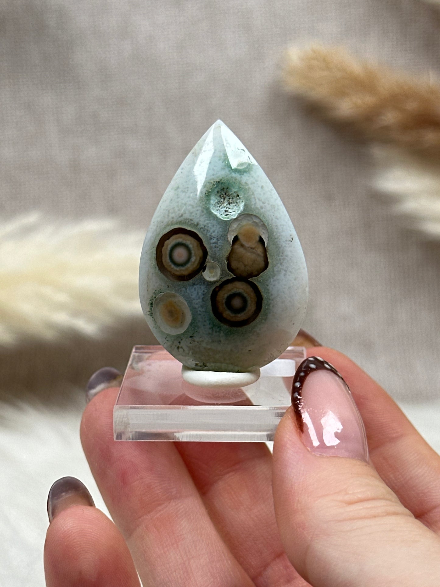 Ozean Jaspis Cabochon (7)