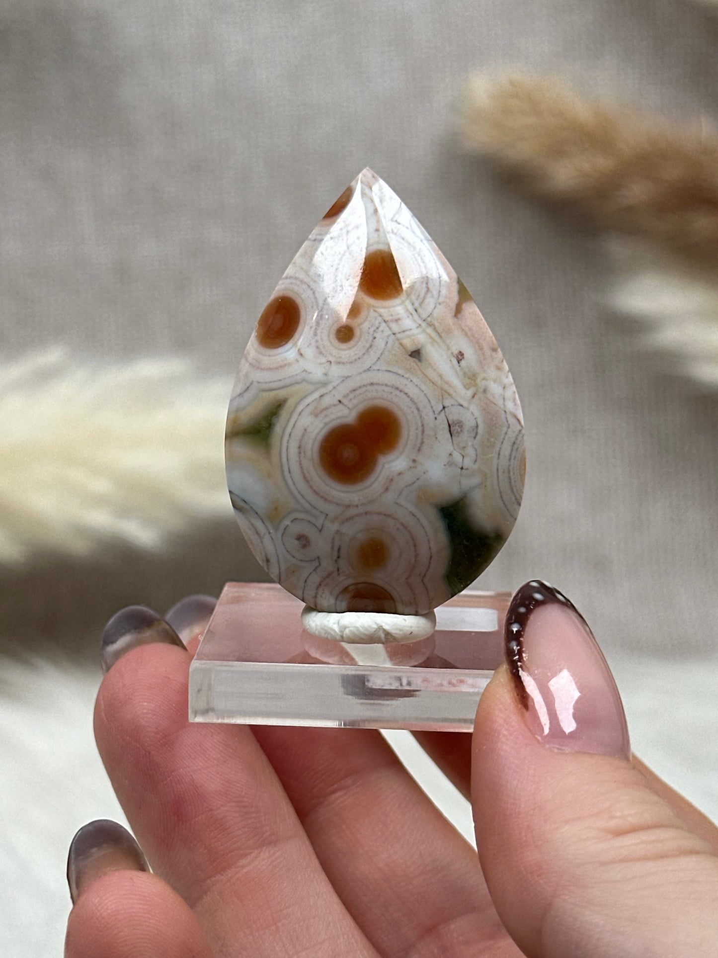 Ozean Jaspis Cabochon (8)