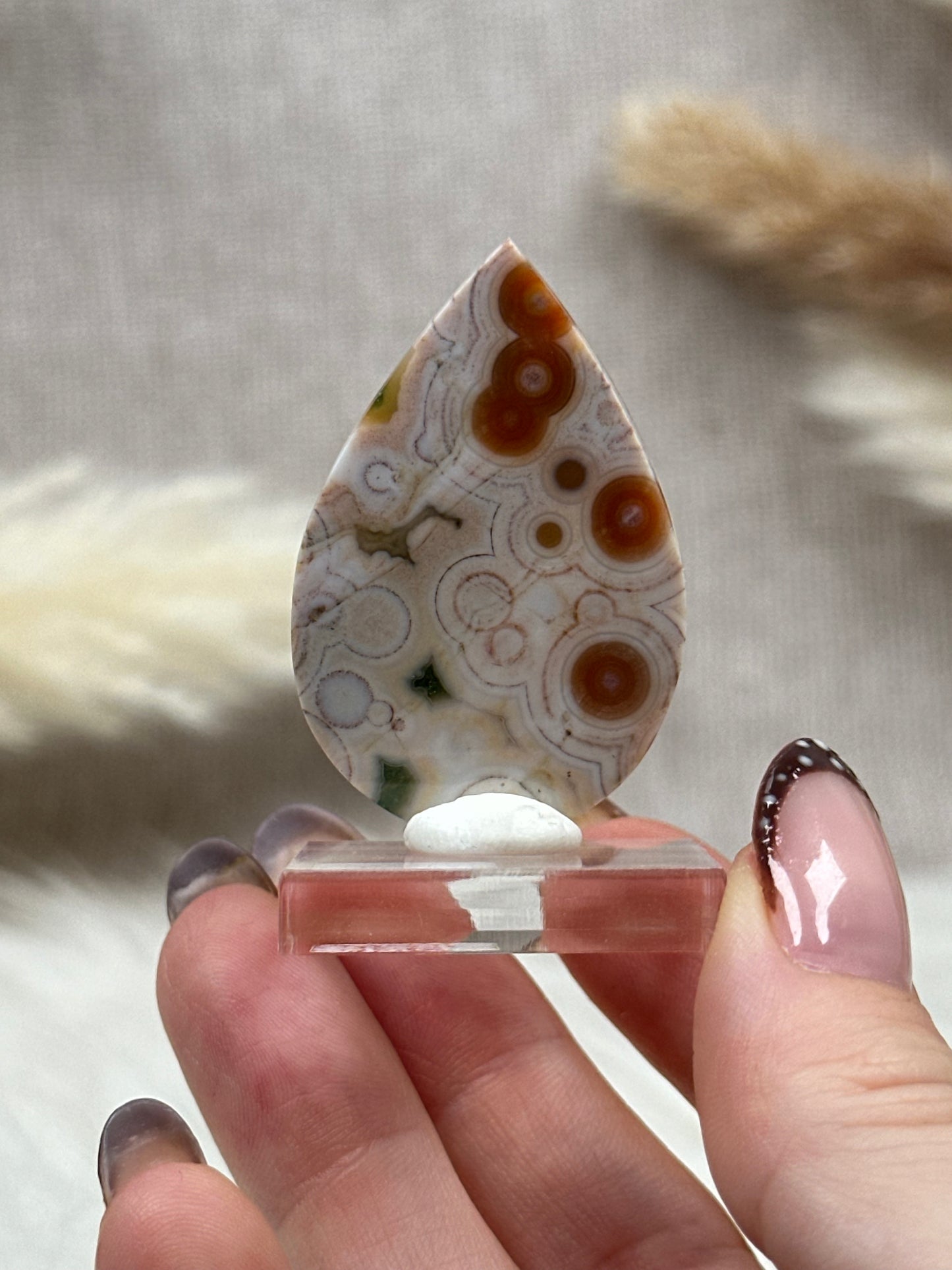 Ozean Jaspis Cabochon (8)