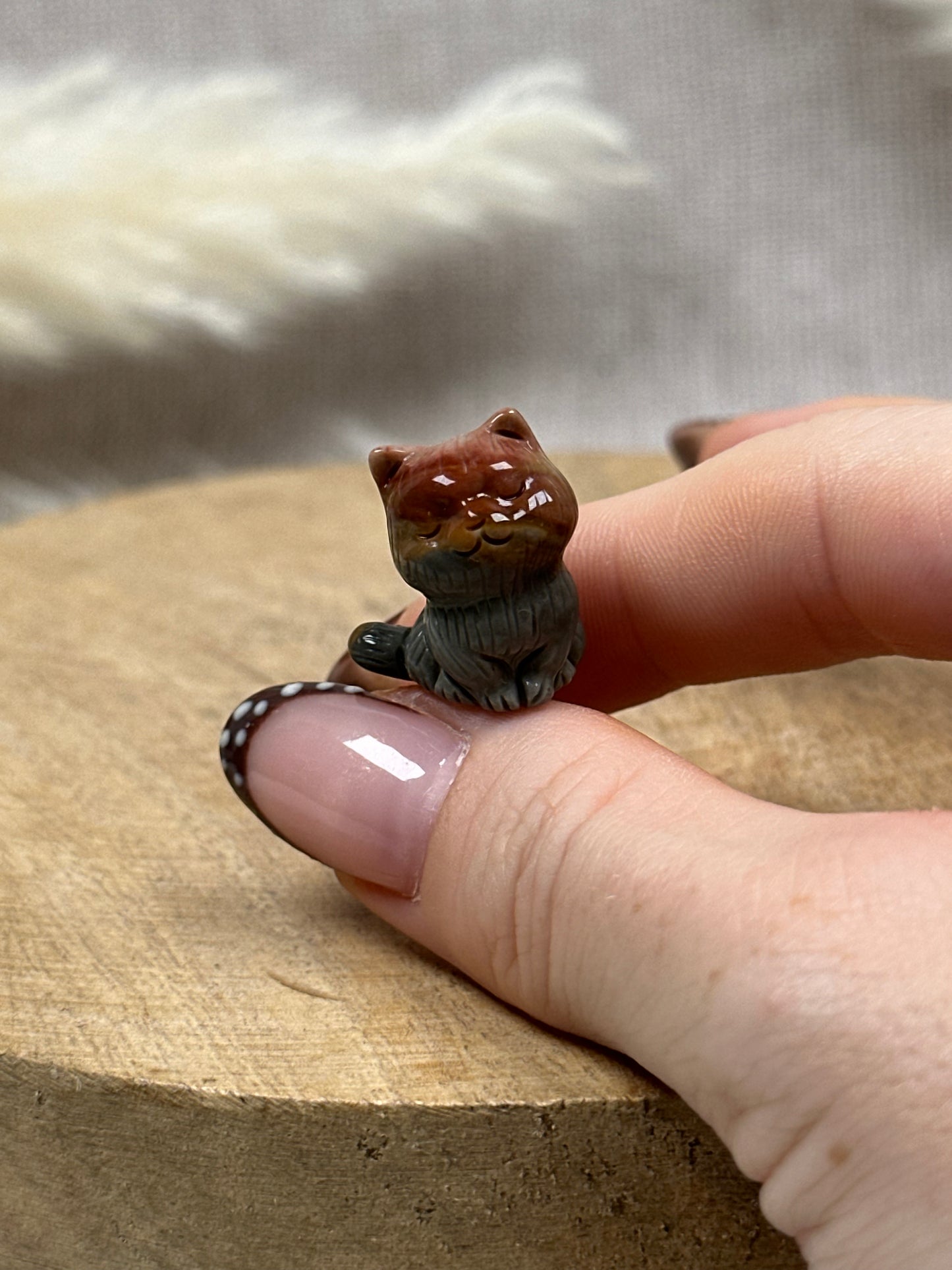 Kleine Alashan Achat Kätzchen