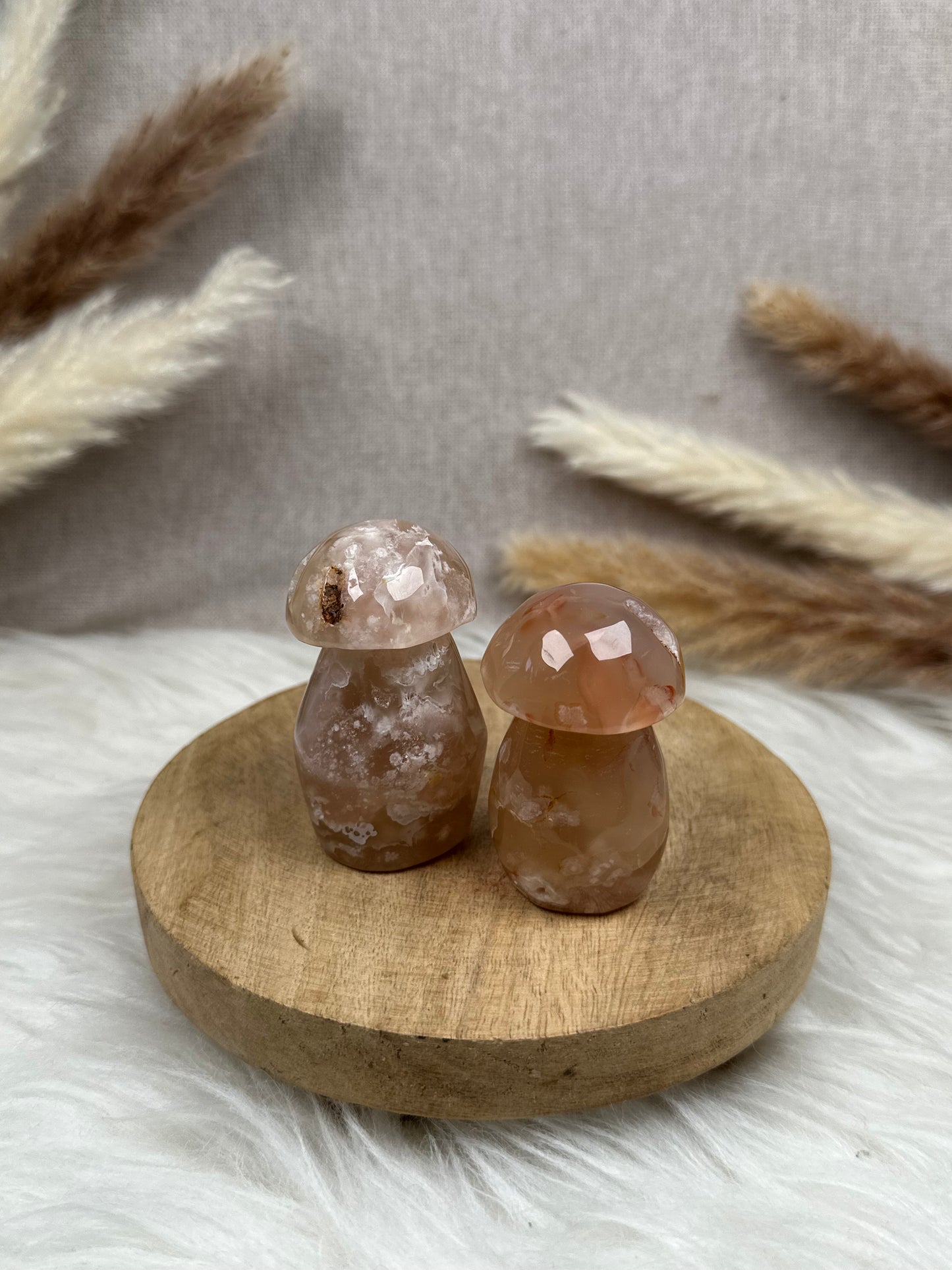 Blumenachat Pilze im Set (1)