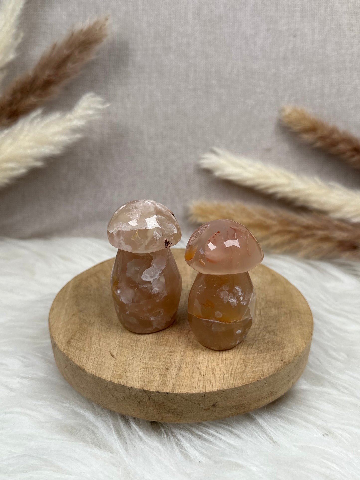 Blumenachat Pilze im Set (1)