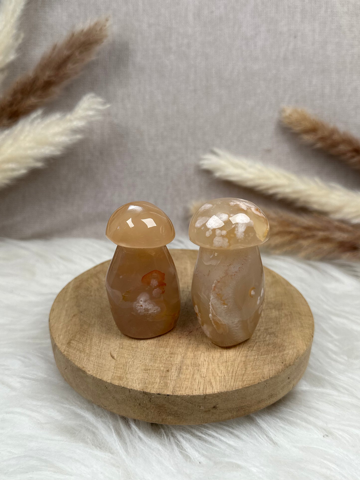 Blumenachat Pilze im Set (2)