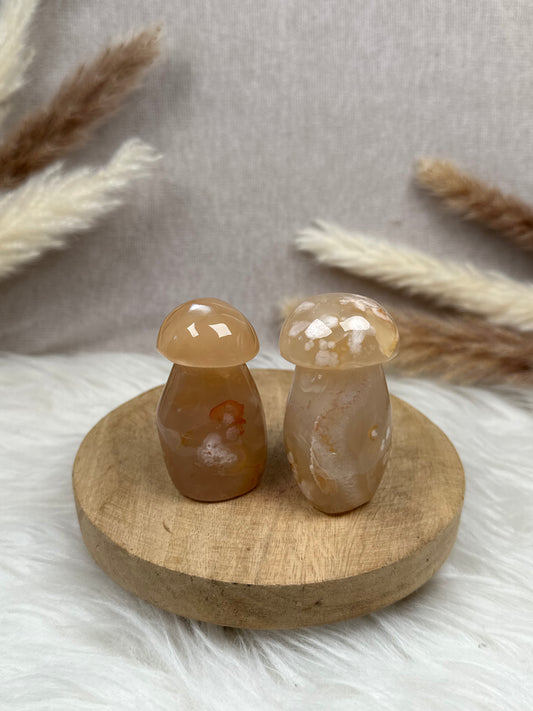 Blumenachat Pilze im Set (2)