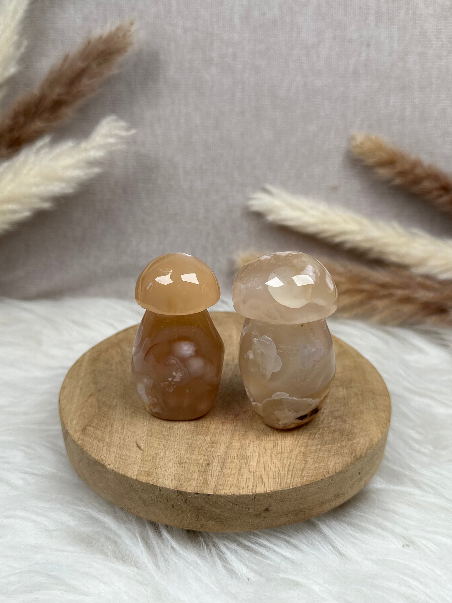 Blumenachat Pilze im Set (2)