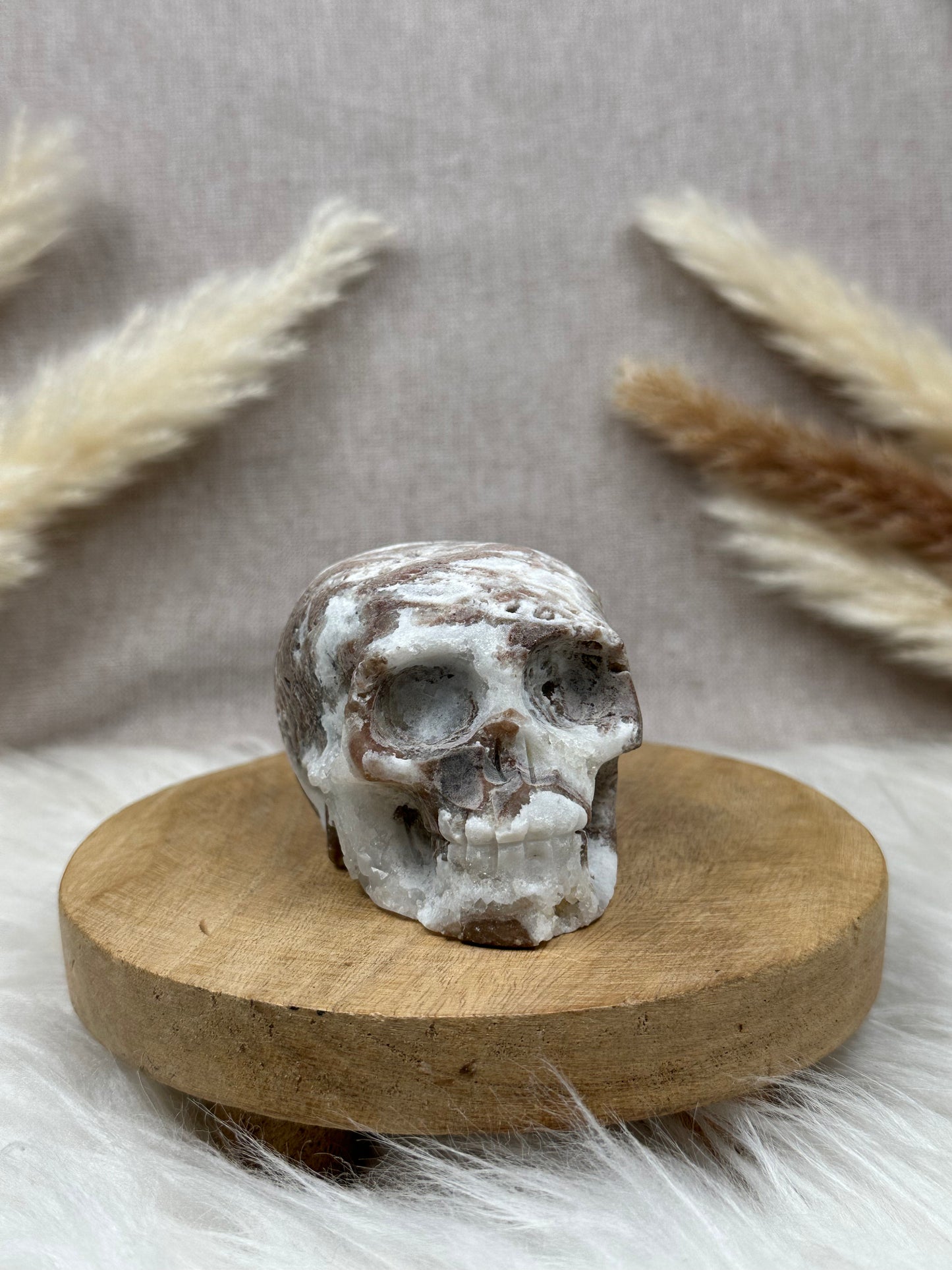 Chalcedon Schädel (1)