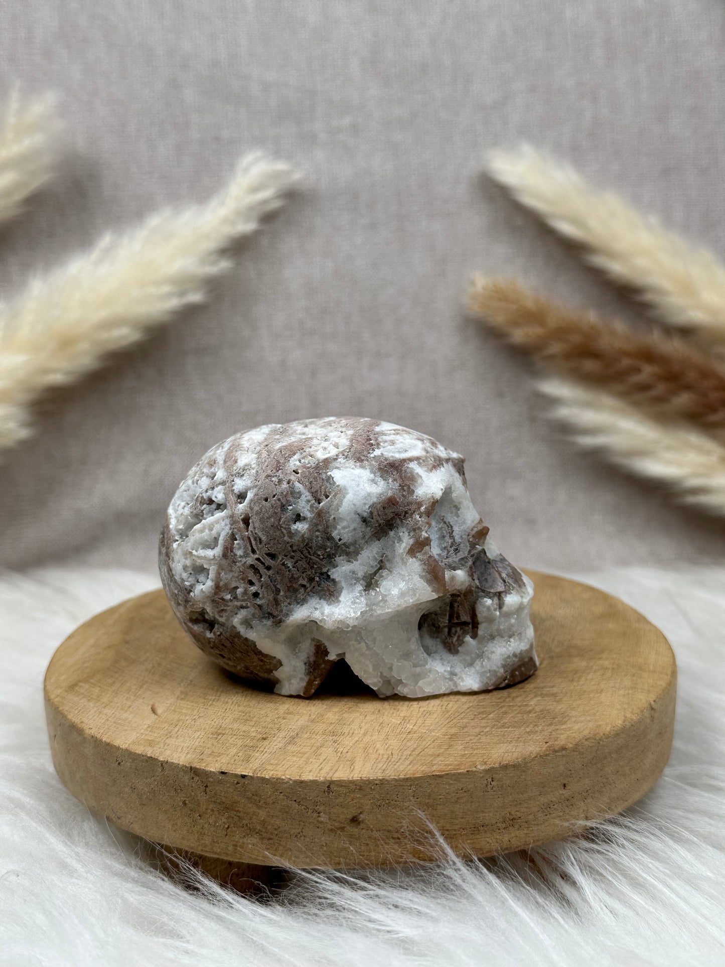Chalcedon Schädel (1)