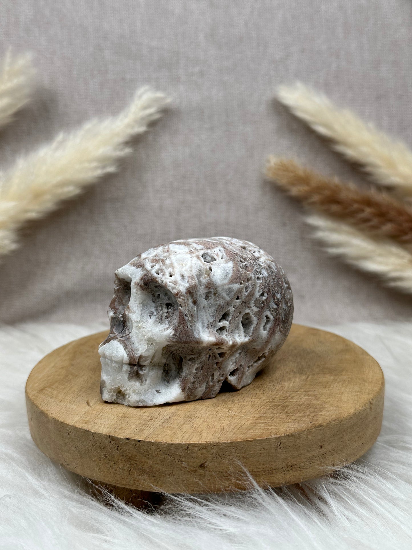Chalcedon Schädel (1)