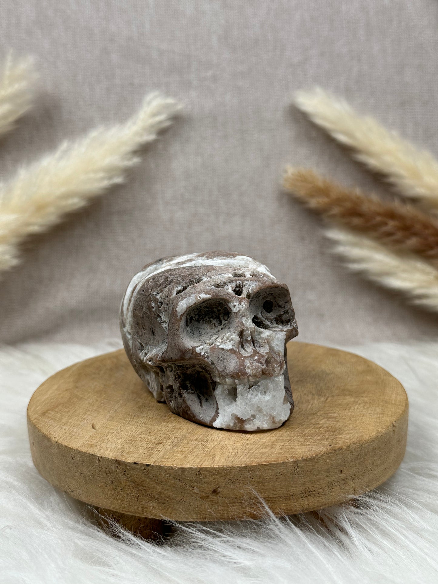 Chalcedon Schädel (2)