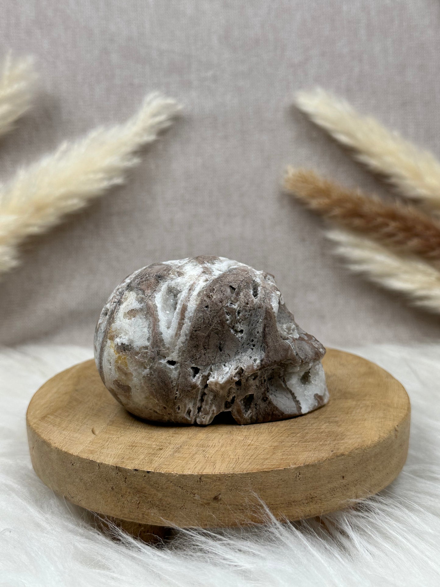Chalcedon Schädel (2)