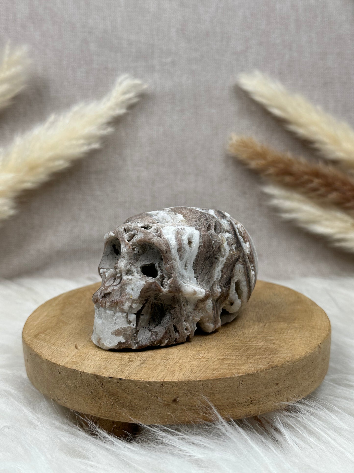Chalcedon Schädel (2)