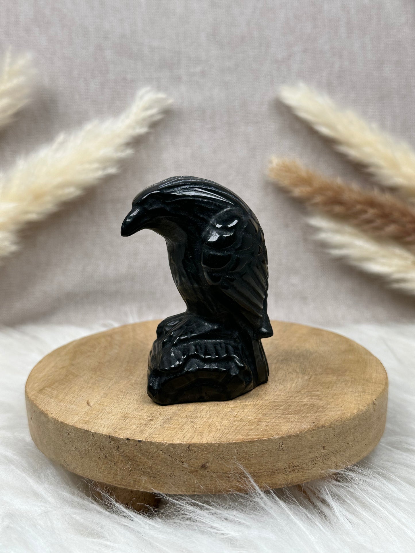 Obsidian Raben