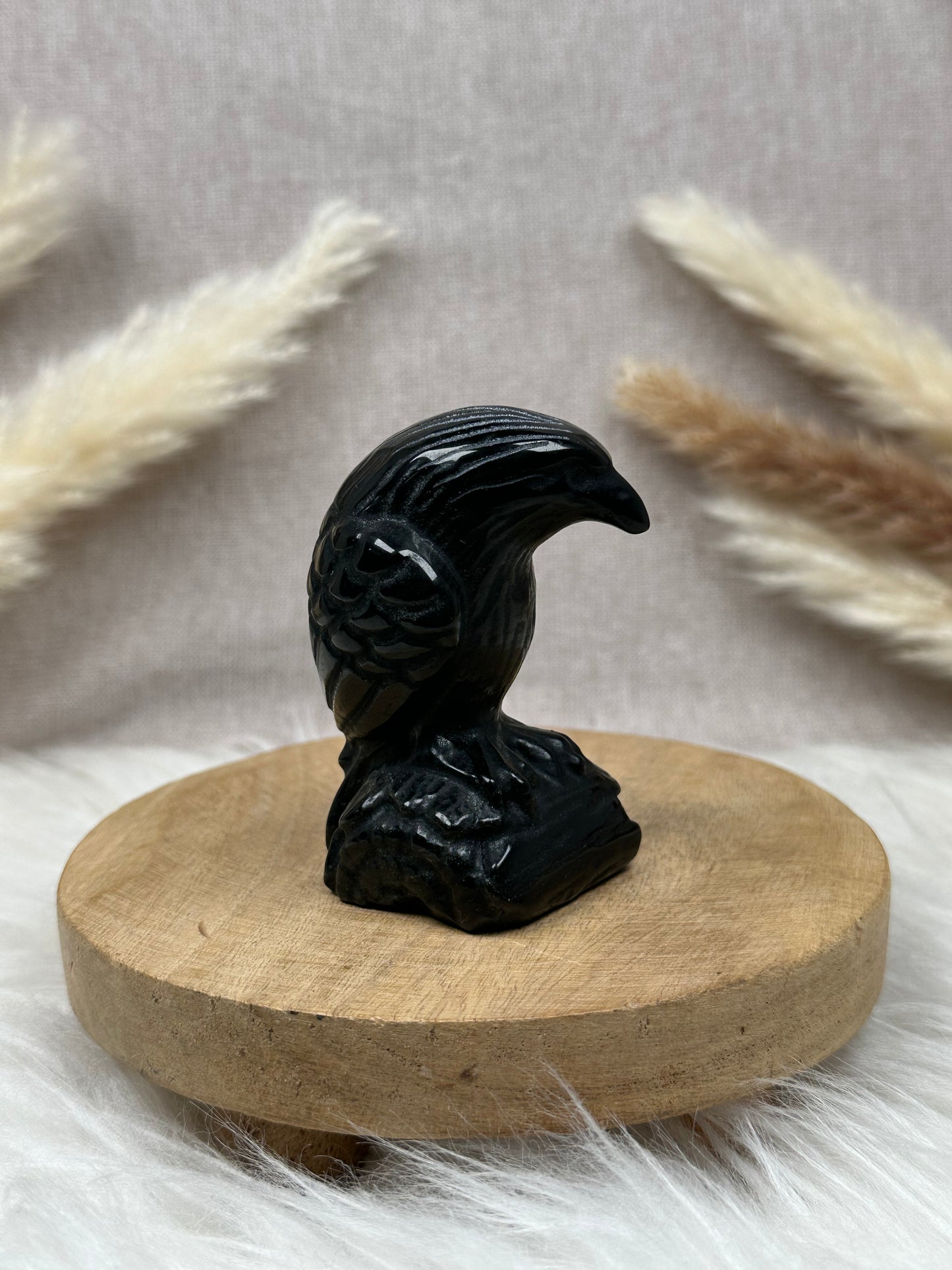 Obsidian Raben