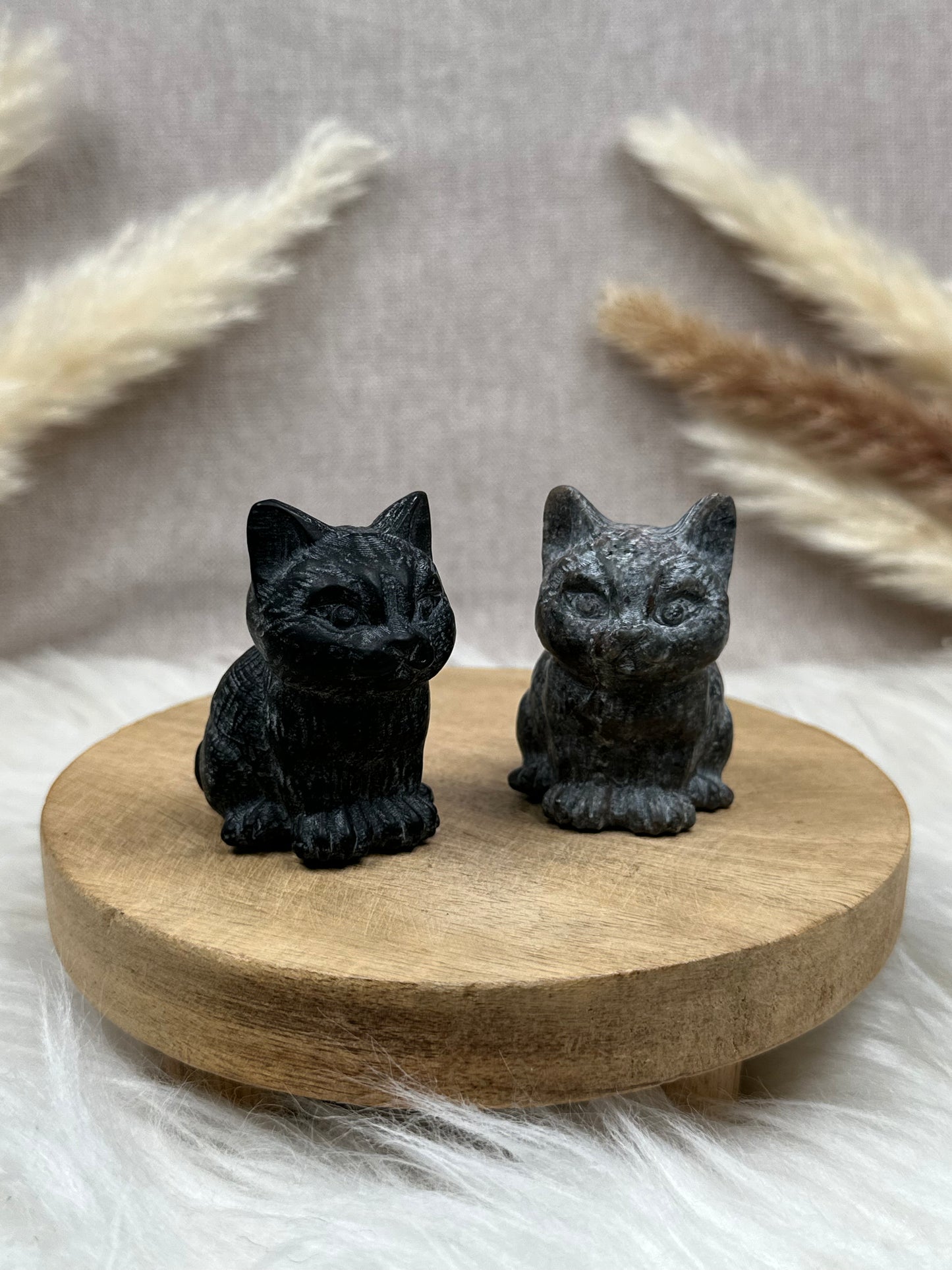 Sitzende Katzen (versch. Sorten)