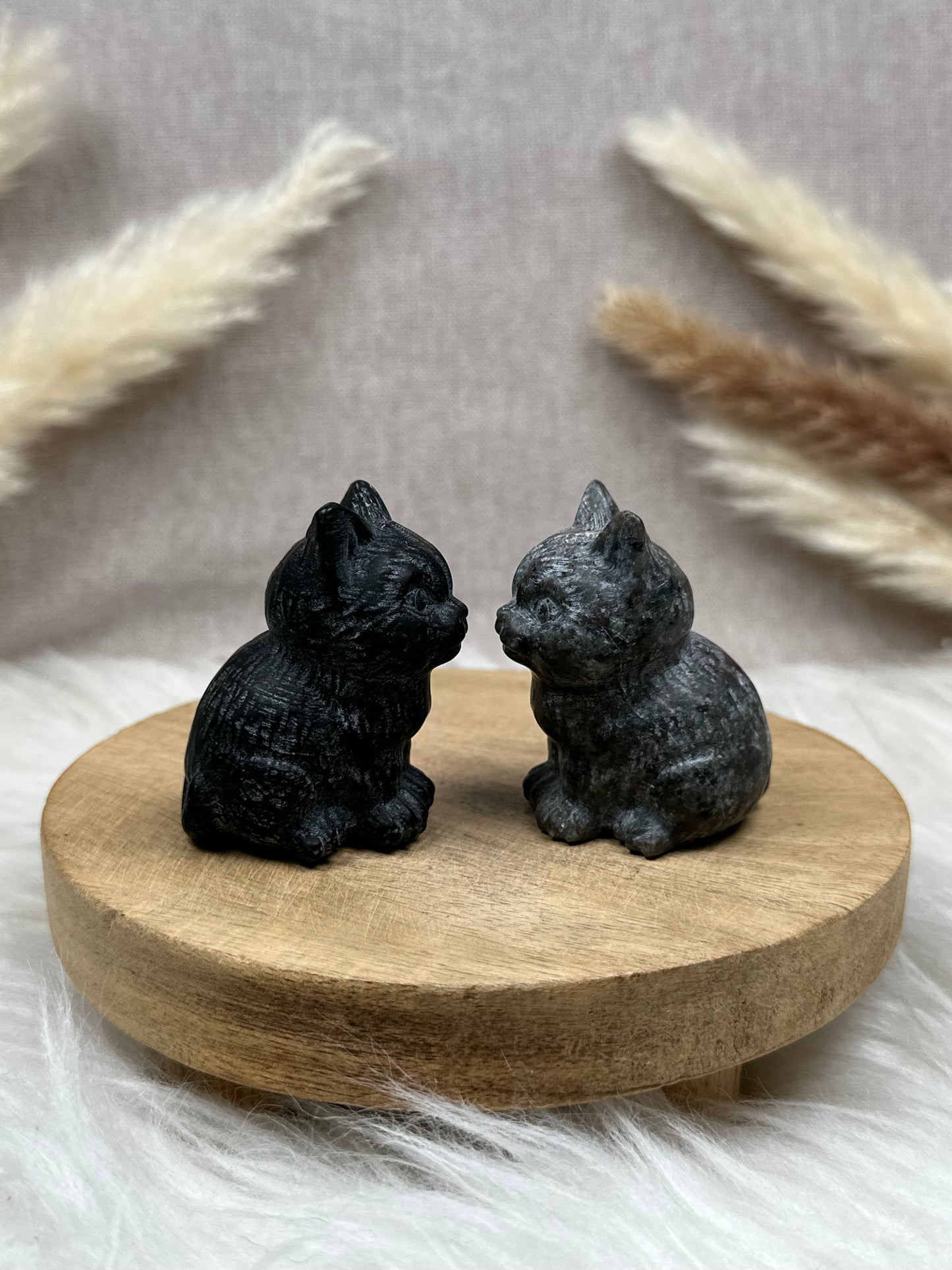 Sitzende Katzen (versch. Sorten)