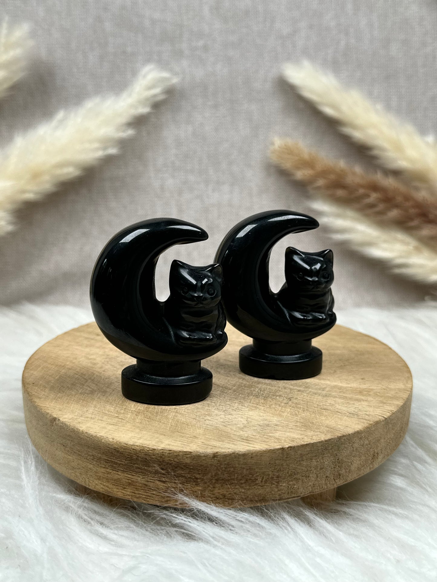 Halbmond mit Katze (versch. Sorten)