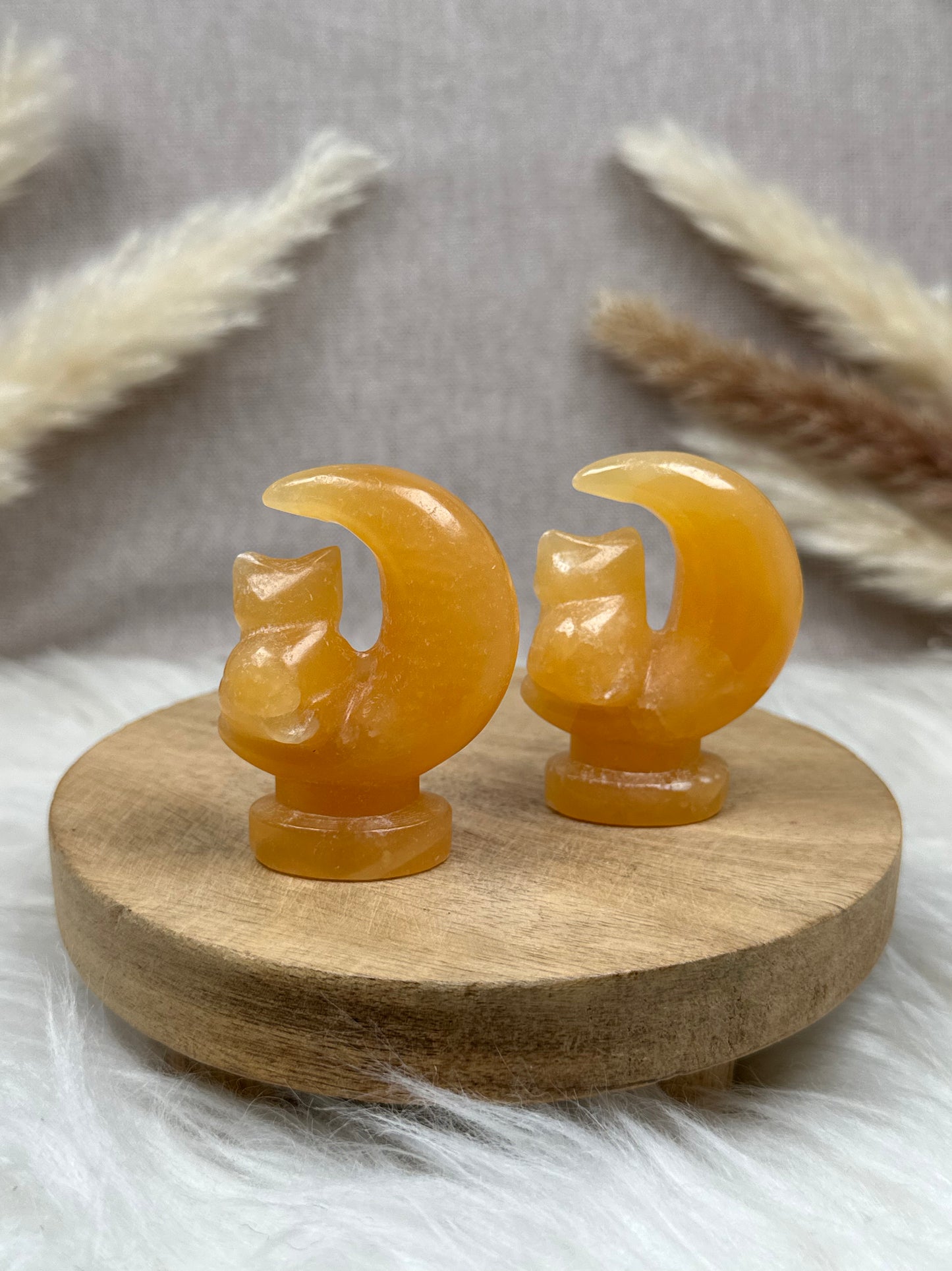 Halbmond mit Katze (versch. Sorten)